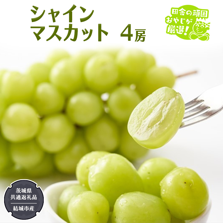 シャインマスカット 4房 【2025年7月より発送開始】 （茨城県共通返礼品 [ぶどう]：結城市産） 田舎の頑固おやじが厳選！ マスカット 種なし ギフト 高糖度 大粒 甘い 美味しい フルーツ [BI292-NT]