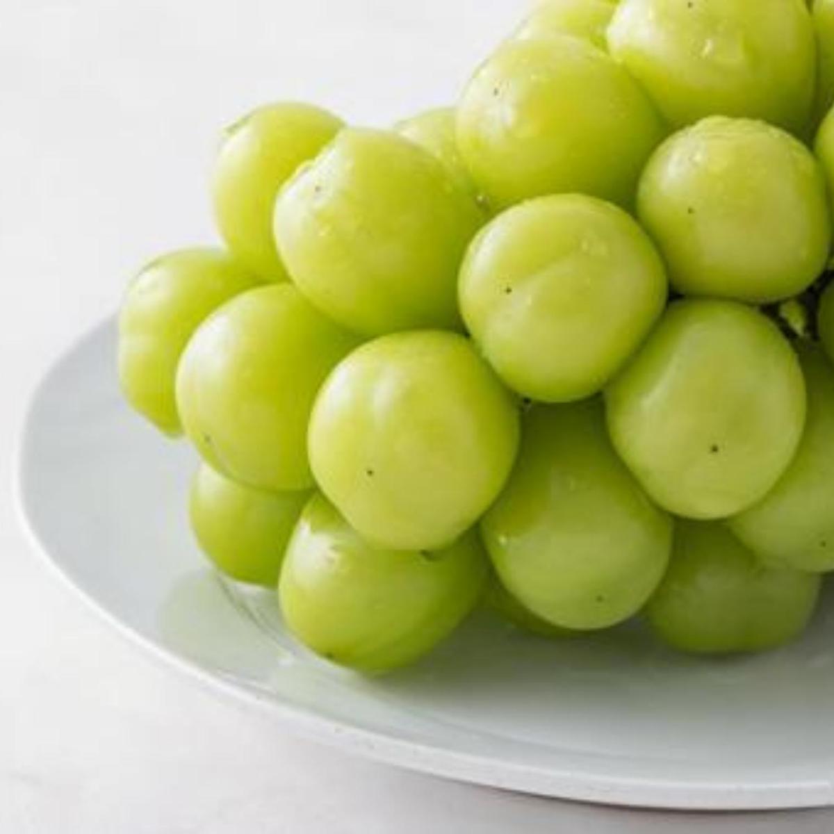 【 桐箱入り 】 シャインマスカット 1房 と ナガノパープル 1房 【2026年8月から発送開始】（茨城県共通返礼品 [ぶどう]：結城市産） 果物 フルーツ マスカット ぶどう ギフト 贈答 プレゼント 桐箱 [BI340-NT]