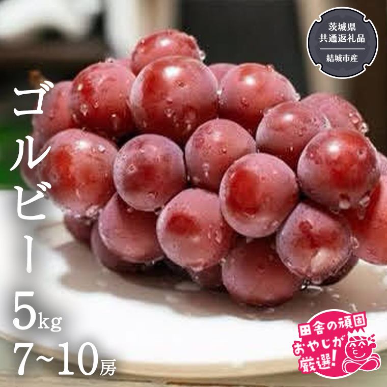 ゴルビー 5kg (7～10房) 【2026年9月より発送開始】（茨城県共通返礼品 [ぶどう]：結城市産） ぶどう ブドウ 葡萄 果物 フルーツ 茨城県産 [BI422-NT]