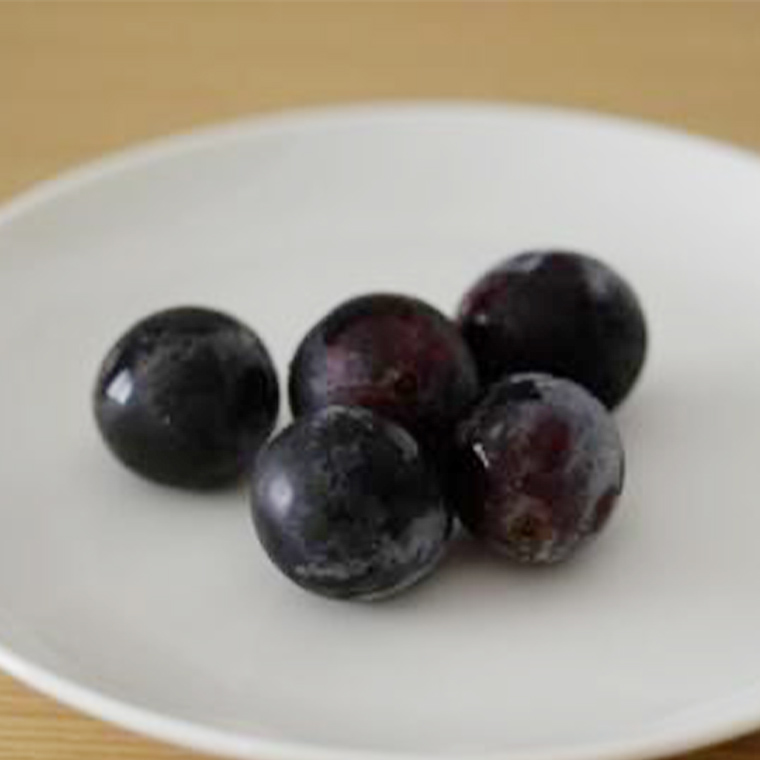 「粒々ぶどう18粒」 シャインマスカット と ぶどう 1品種の宝石箱【2026年8月より発送開始】（茨城県共通返礼品 [ぶどう]：結城市産） ぶどう ブドウ 葡萄 果物 フルーツ 茨城県産 [BI446-NT]