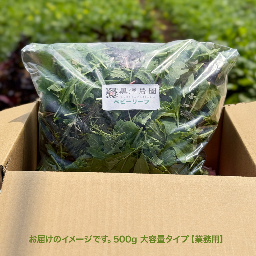 【 業務用 】 黒澤農園 の ベビーリーフサラダ 500g 大容量タイプ 業者向け ベビーリーフ サラダ 生野菜 食べやすい 若葉 ファミリー 旬 新鮮 国産 彩り パーティー 大量 お得パック [DS06-NT]