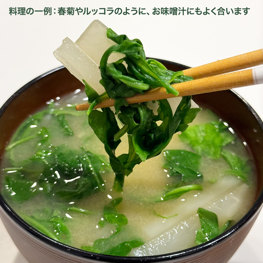 つくばみらい市 で栽培した セルバチカ ( ワイルドルッコラ ) 300g サラダ さらだ ルッコラ ハーブ 新鮮 国産 辛い セルバチコ ベビーリーフ イタリア野菜 イタリア料理 イタリアン パスタ 高級 トッピング 大容量 たっぷり [DS08-NT]