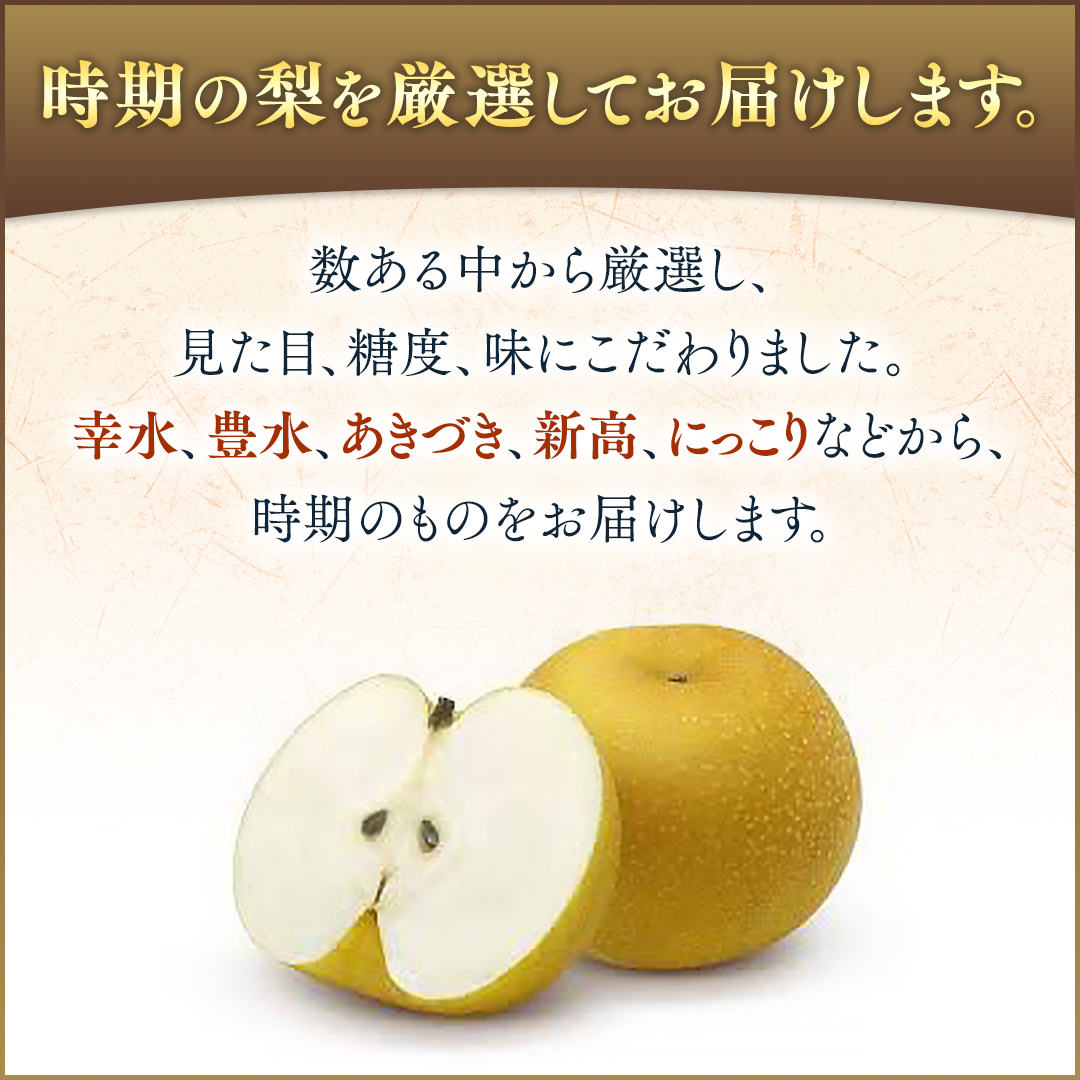【化粧箱入り】梨 5kg（10〜14個）【2026年8月より発送開始】（茨城県共通返礼品 [梨]：大子町産） なし ナシ 果物 フルーツ 茨城県産 [BI466-NT]