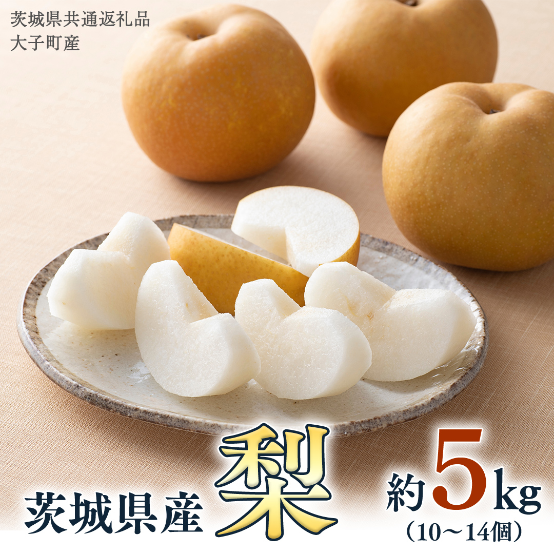 梨 10～14個【2026年9月より発送開始】（茨城県共通返礼品 [梨]：大子町産）田舎の頑固おやじが厳選！ [BI141-NT]