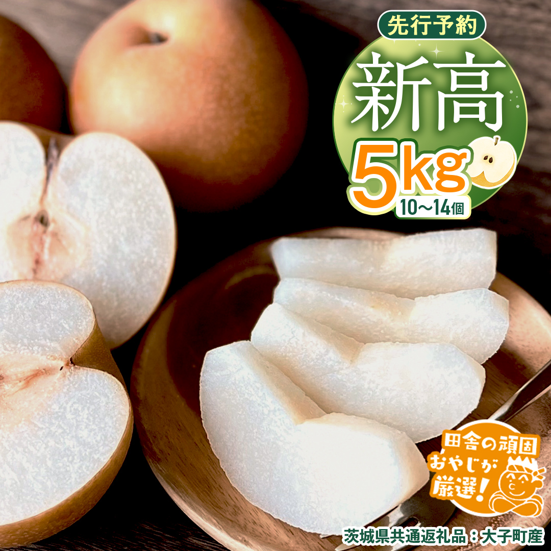 梨 新高 5kg（10〜14個）【2026年10月より発送開始】（茨城県共通返礼品 [梨]：大子町産）田舎の頑固おやじが厳選！ なし 新高梨 和梨 フルーツ 果物 くだもの 高糖度 ギフト 茨城 [BI306-NT]
