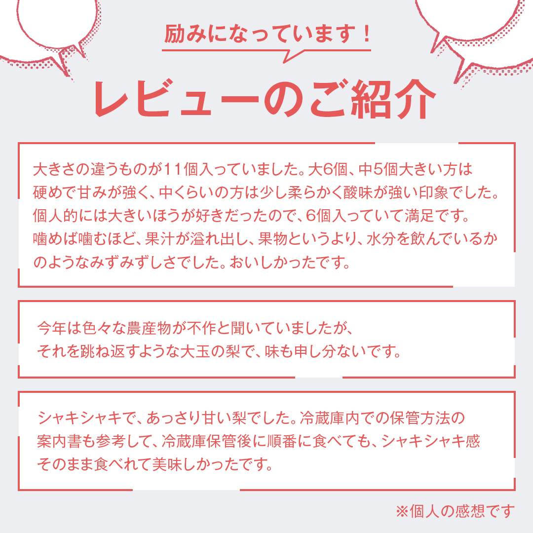梨 新高 5kg（10〜14個）【2026年10月より発送開始】（茨城県共通返礼品 [梨]：大子町産）田舎の頑固おやじが厳選！ なし 新高梨 和梨 フルーツ 果物 くだもの 高糖度 ギフト 茨城 [BI306-NT]