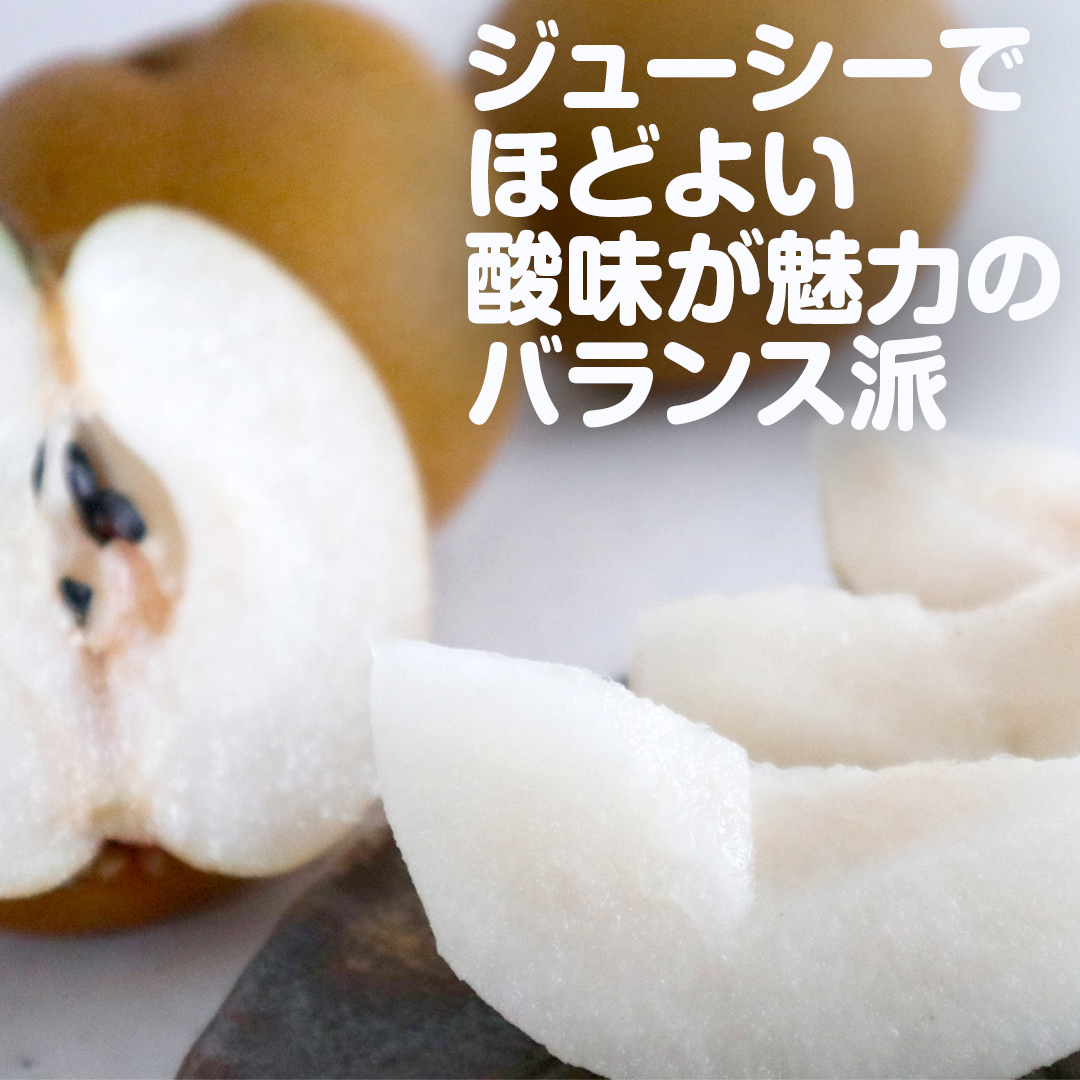 梨 豊水 約10kg 20～32個【2026年9月より発送開始】（茨城県共通返礼品 [梨]：大子町産）田舎の頑固おやじが厳選！ 梨 豊水 高糖度 ギフト 甘い 美味しい フルーツ デザート [BI305-NT]