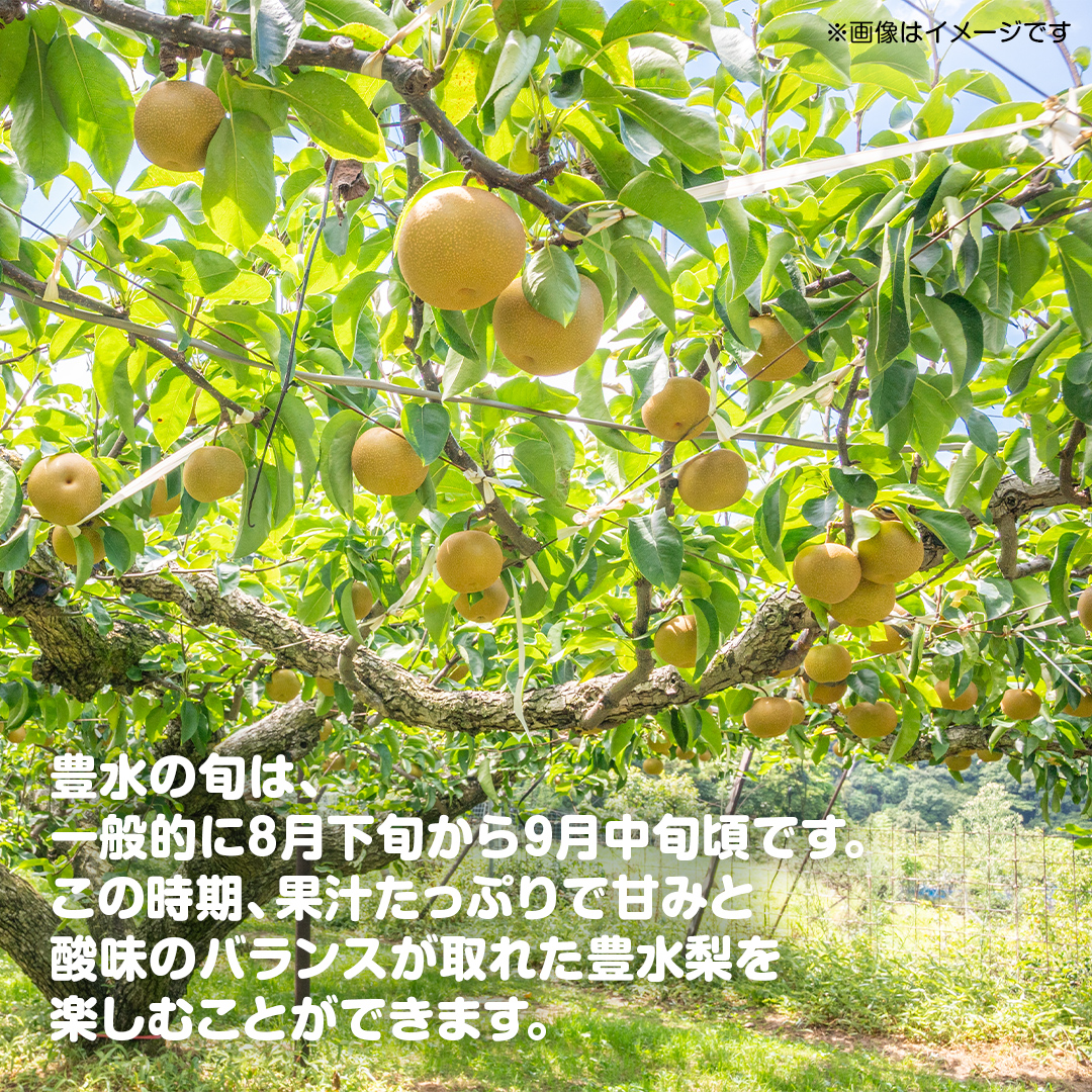 梨 豊水 約10kg 20～32個【2026年9月より発送開始】（茨城県共通返礼品 [梨]：大子町産）田舎の頑固おやじが厳選！ 梨 豊水 高糖度 ギフト 甘い 美味しい フルーツ デザート [BI305-NT]