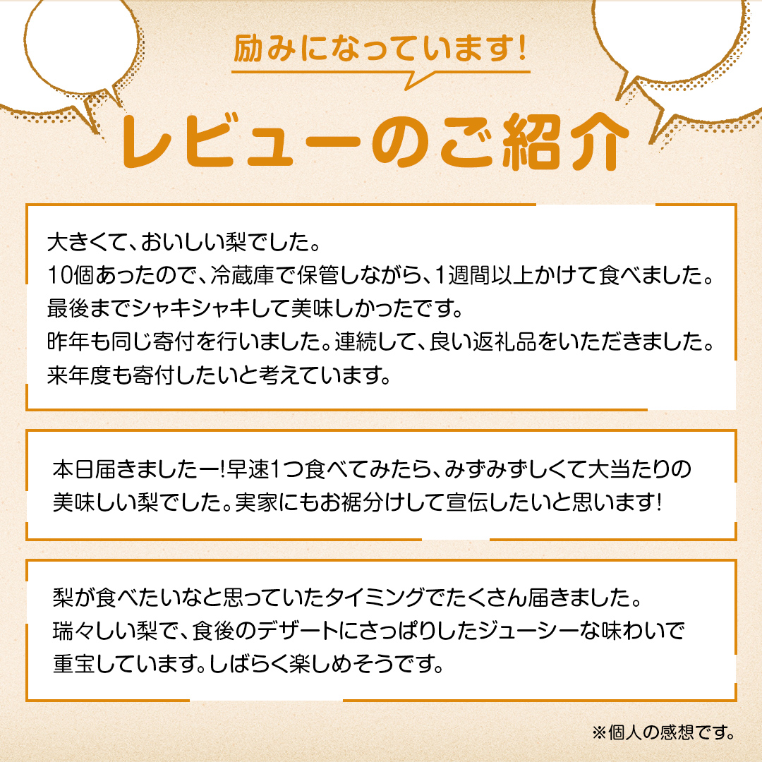 梨 豊水 約10kg 20～32個【2026年9月より発送開始】（茨城県共通返礼品 [梨]：大子町産）田舎の頑固おやじが厳選！ 梨 豊水 高糖度 ギフト 甘い 美味しい フルーツ デザート [BI305-NT]