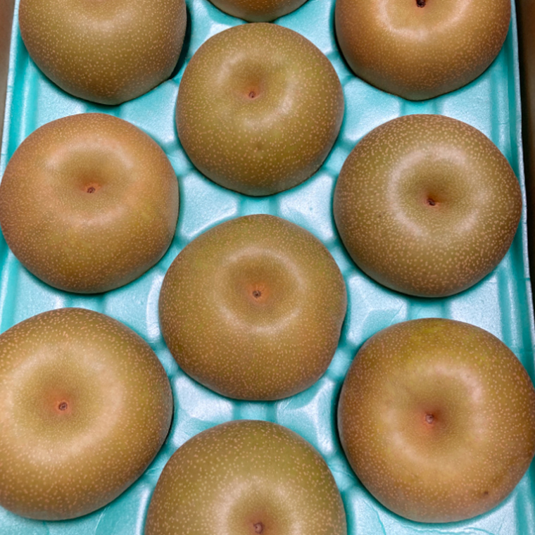 【定期便】梨 5kg（7～12個）品種移り変わりセット【2026年8月より5か月連続で発送】（茨城県共通返礼品 [梨]：大子町産）  なし ナシ 果物 フルーツ 茨城県産 [BI436-NT]