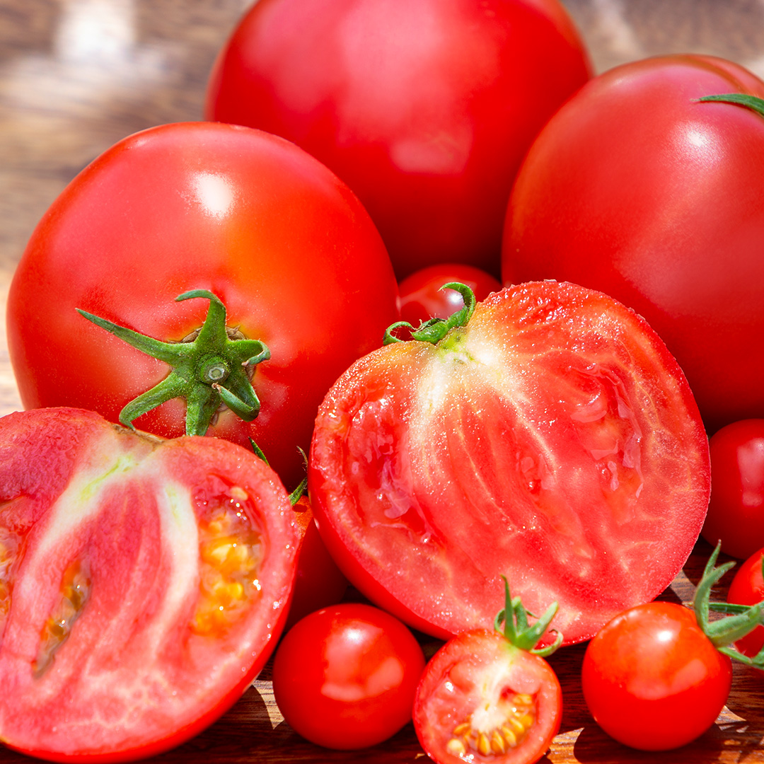 【 2026年 収穫分 先行予約 】 -太陽の味- 渋谷トマト 大玉トマト・ミニトマト詰め合わせ 約2kg 2026年1月5日～発送開始 トマト ミニトマト 茨城 産地直送 農家直送リコピン ビタミン 有機肥料 野菜 甘い 直売所 [EL04-NT]