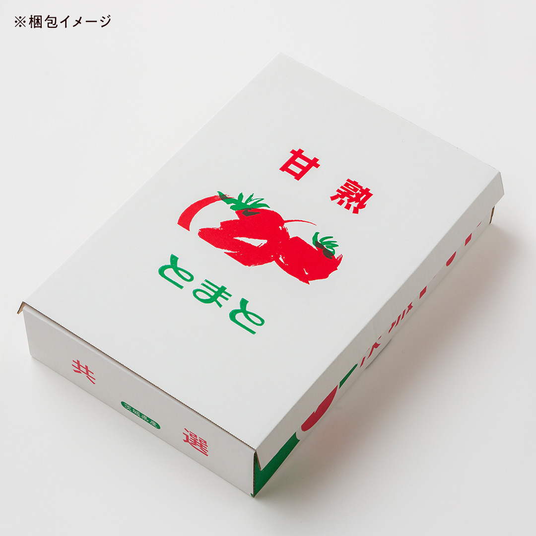【 2026年 収穫分 先行予約 】 -太陽の味- 渋谷トマト 大玉トマト・ミニトマト詰め合わせ 約2kg 2026年1月5日～発送開始 トマト ミニトマト 茨城 産地直送 農家直送リコピン ビタミン 有機肥料 野菜 甘い 直売所 [EL04-NT]