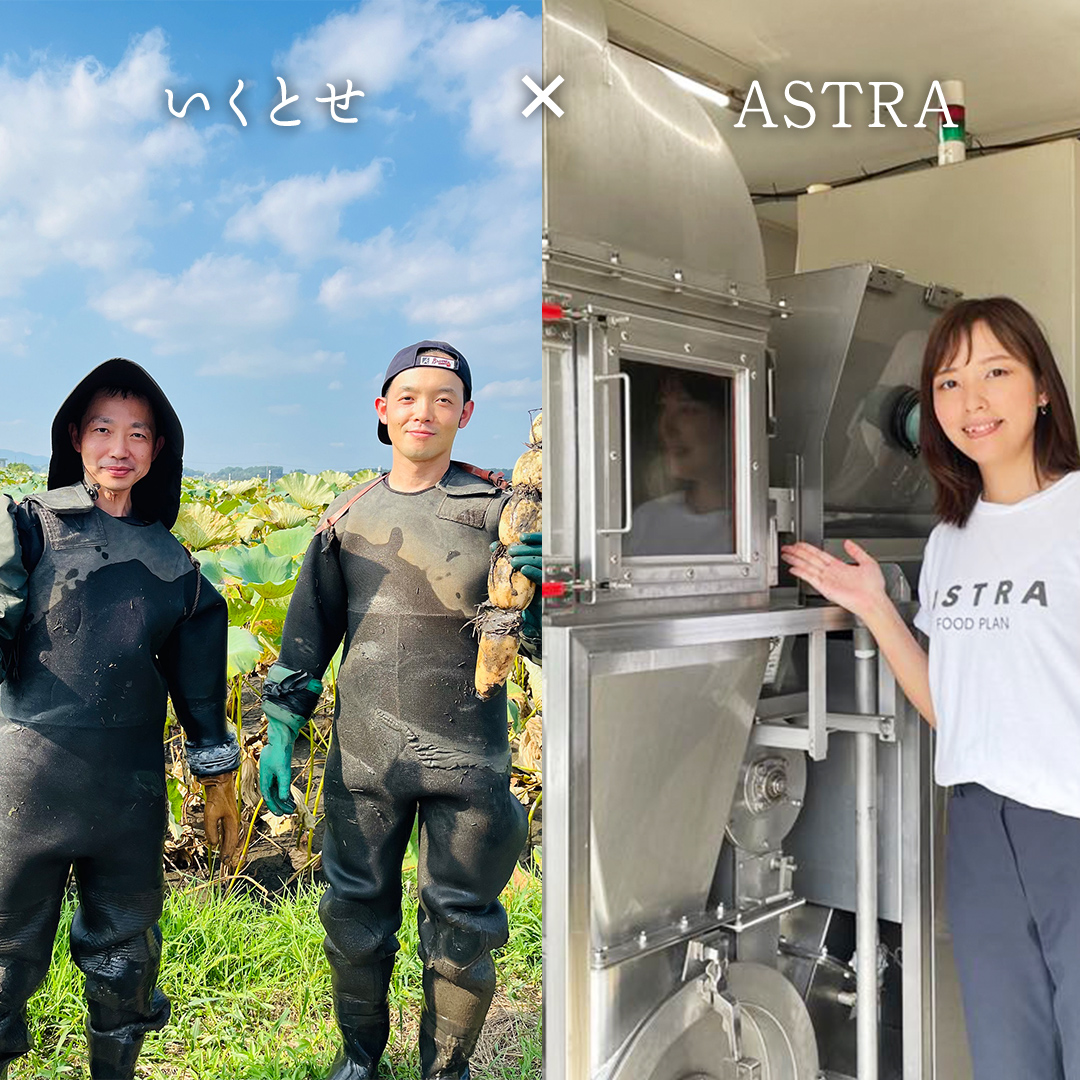 【2026年4月より順次出荷】職人が作る タマネギ香る！ジャーマンミートローフと無塩せき粗挽きソーセージ 味わいセット いくとせ 国際線 ファーストクラス ビジネスクラス 機内食 グルテンフリー 卵不使用 国産豚肉 ビール お酒 ワイン 手造り ソーセージ ミートローフ SDGs フードロス アップサイクル たまねぎ オニオン おいしい 肉 フードテック [DK15-NT]