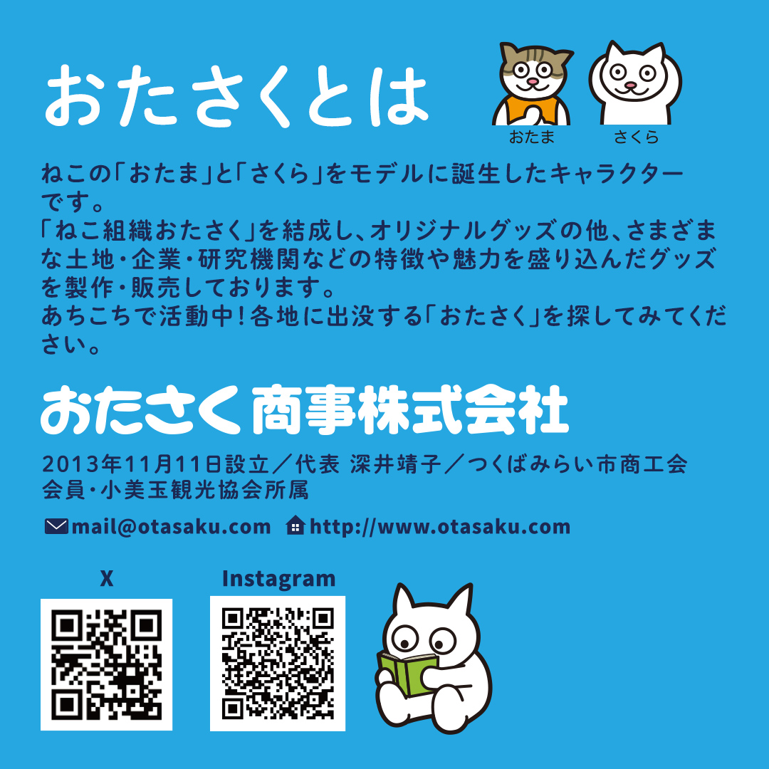 【 おたさく 】 おたのしみ袋ミニ 3～5点 おたさく ねこグッズ 福袋 雑貨 かわいい 猫 ねこ ネコ 猫グッズ ネコ好き にゃんこ おまかせ お楽しみ [AE36-NT]