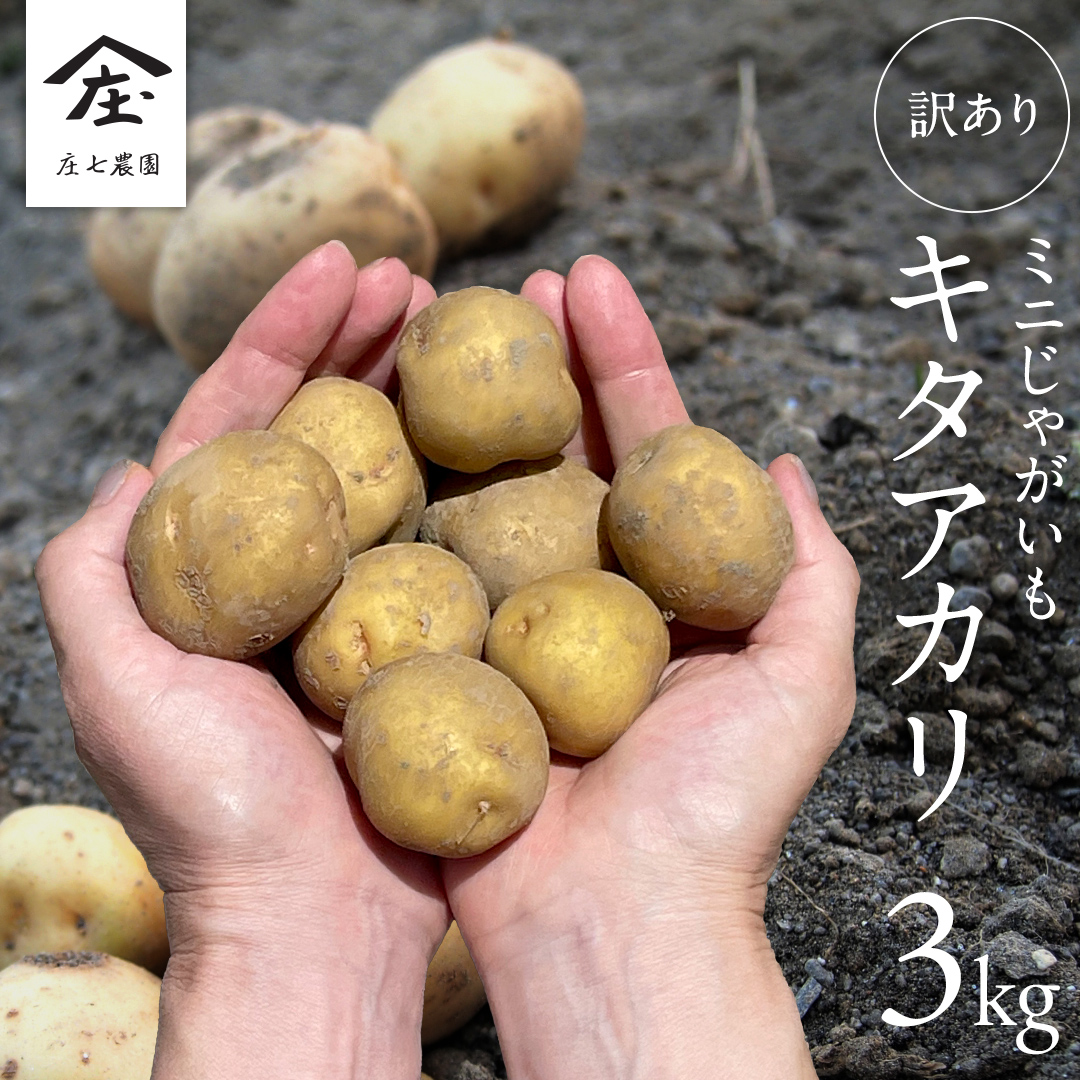 [訳あり]ミニ ジャガイモ ( キタアカリ ) 3kg 田んぼで作ったころころジャガイモ 新じゃが じゃがいも 北あかり 芋 大容量 家庭用 小粒 野菜 根菜 産地直送 新鮮 5000円 [BK48-NT]