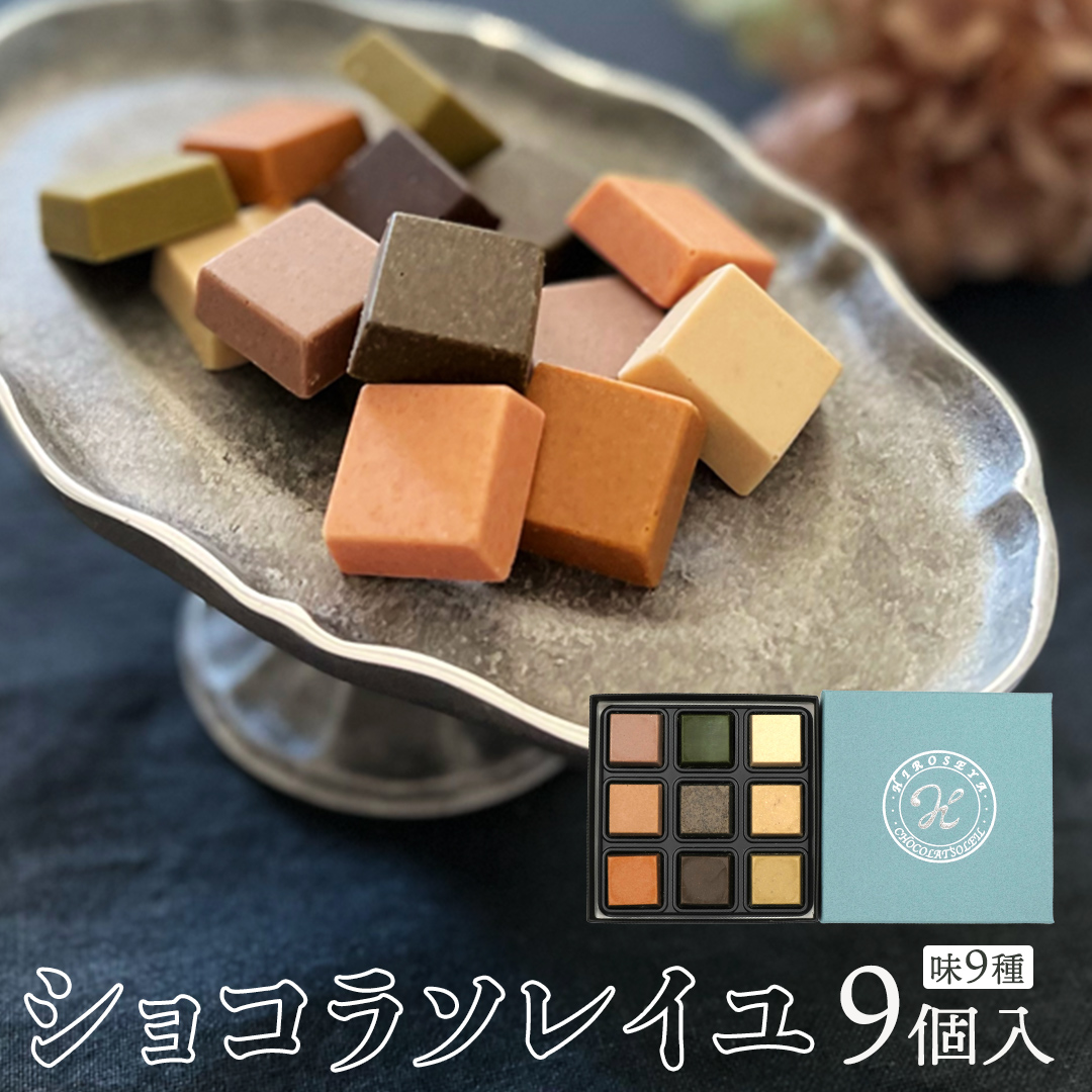 ショコラソレイユ 9種 チョコレート チョコ スイーツ デザート 高級 ギフト 贈り物 お礼 プレゼント 手土産 お菓子 [DJ07-NT]