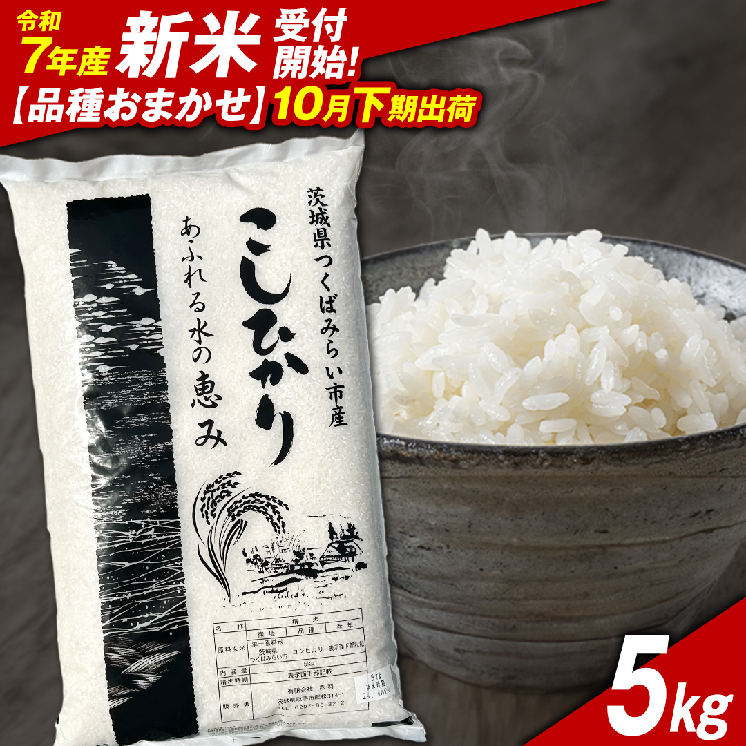 ＼ 新米先行予約 ／【10月下期出荷】品種おまかせ 5kg 茨城県つくばみらい市産 精米 こしひかり コシヒカリ あきたこまち ひとめぼれ ふくまる ゆめひたち ミルキークイーン にじのきらめき 米 コメ こめ 単一米 限定 茨城県産 国産 美味しい お米 おこめ おコメ [CL147-NT]