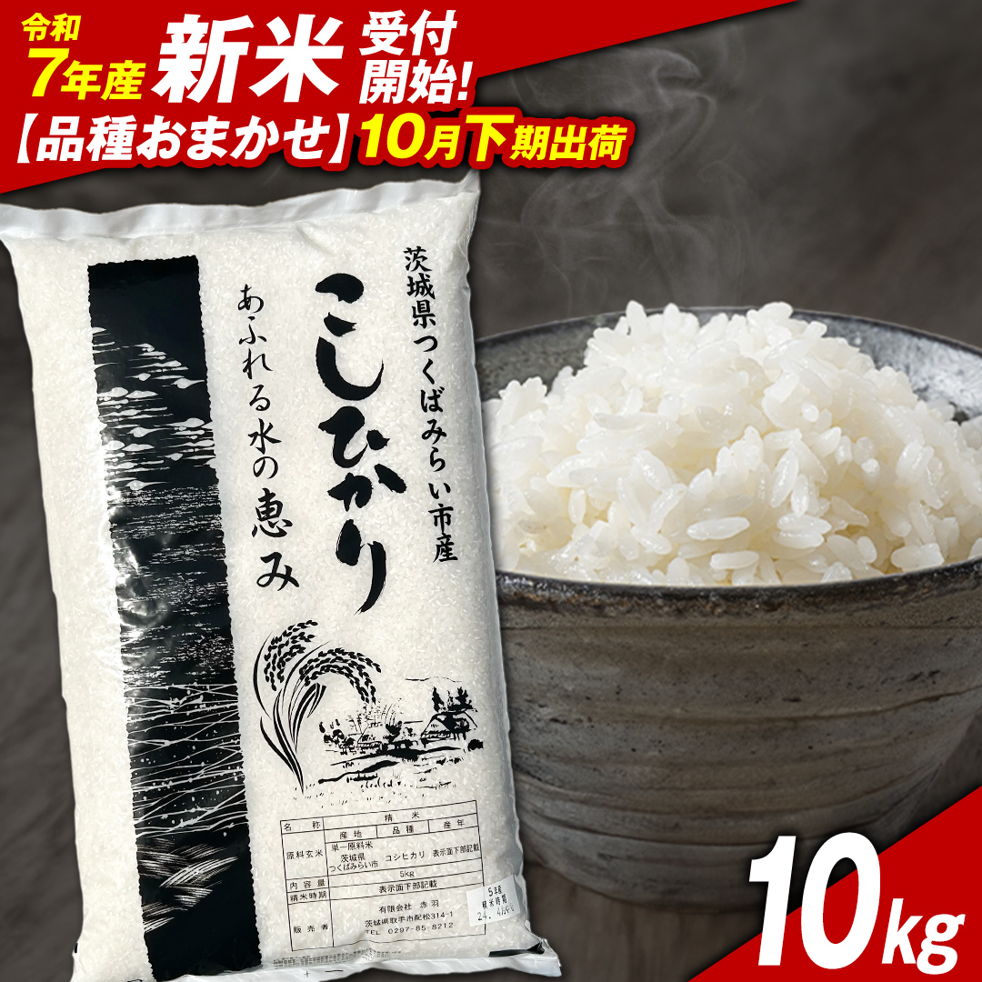 ＼ 新米先行予約 ／【10月下期出荷】品種おまかせ 10kg 茨城県つくばみらい市産 精米 こしひかり コシヒカリ あきたこまち ひとめぼれ ふくまる ゆめひたち ミルキークイーン にじのきらめき 米 コメ こめ 単一米 限定 茨城県産 国産 美味しい お米 おこめ おコメ [CL148-NT]