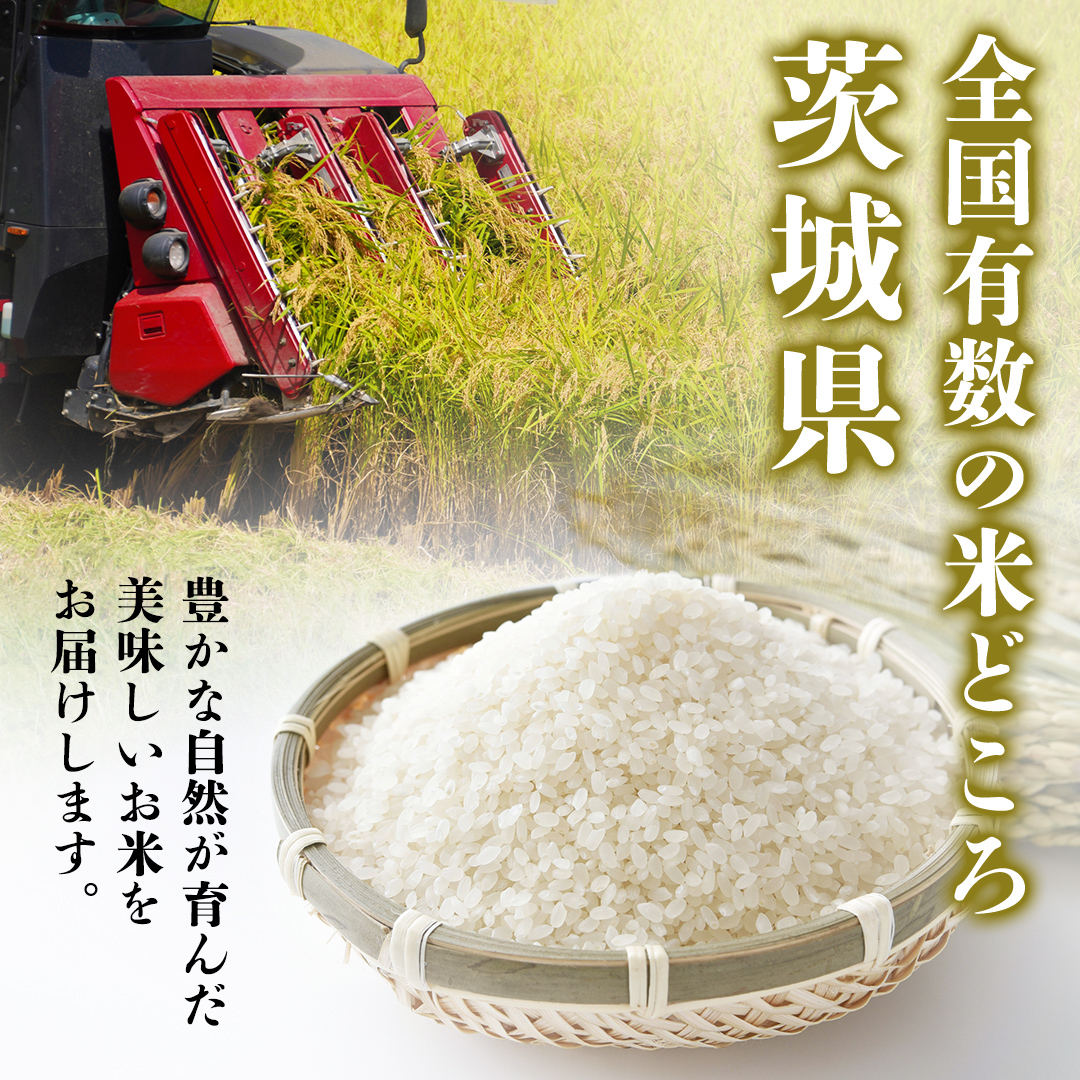 ＼ 新米先行予約 ／【10月下期出荷】品種おまかせ 10kg 茨城県つくばみらい市産 精米 こしひかり コシヒカリ あきたこまち ひとめぼれ ふくまる ゆめひたち ミルキークイーン にじのきらめき 米 コメ こめ 単一米 限定 茨城県産 国産 美味しい お米 おこめ おコメ [CL148-NT]