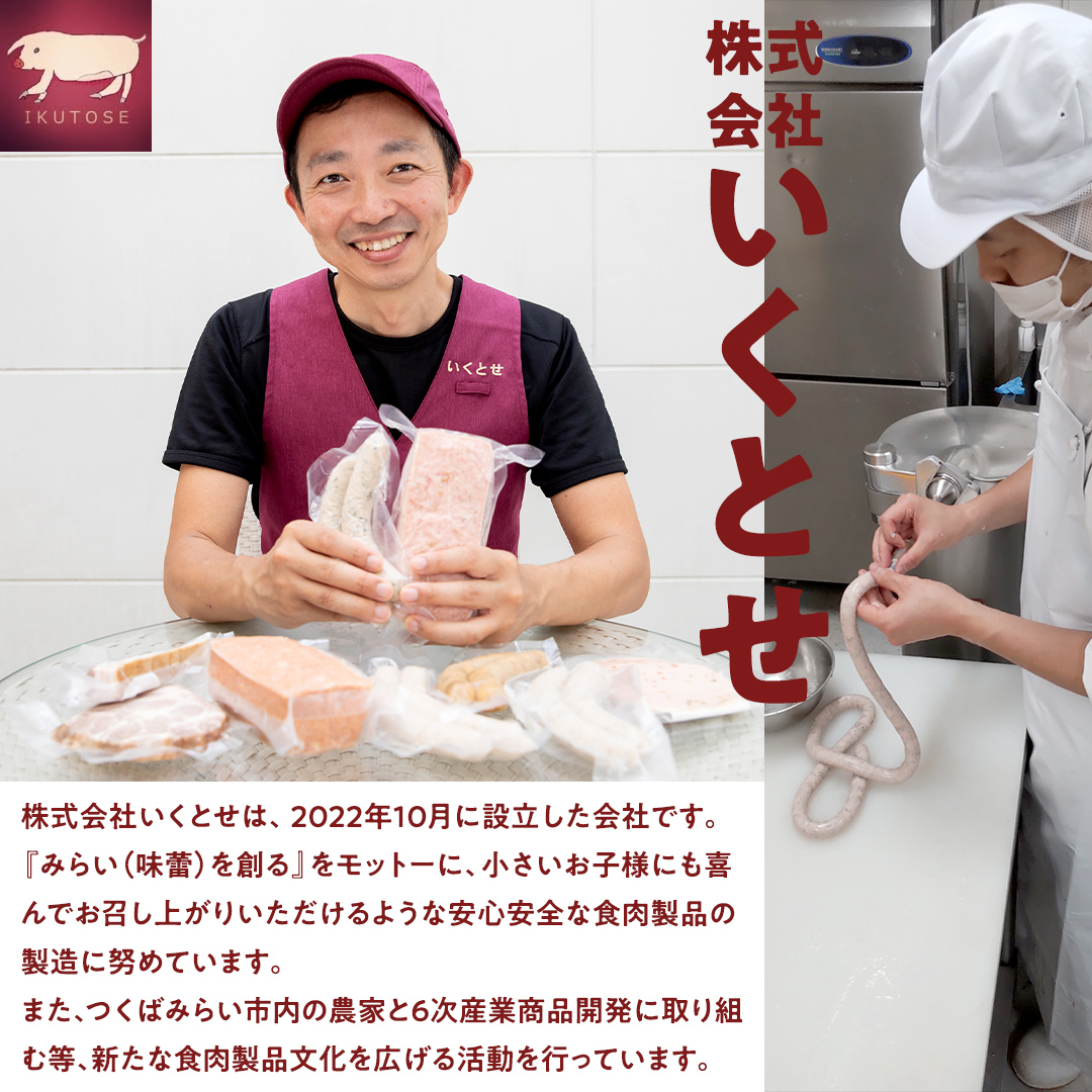 【2026年4月より順次出荷】国産 豚 ソーセージ 職人が作る 無塩せき ソーセージ3種 と つくね セット いくとせ 無塩せき プレゼント 内祝 BBQ キャンプ ウインナー おかず おつまみ 食品 粗挽き 焼き 機内食 ドイツ 職人 厳選 酒 米 肉 詰め合せ セット お試し 食べ比べ 詰め合わせ