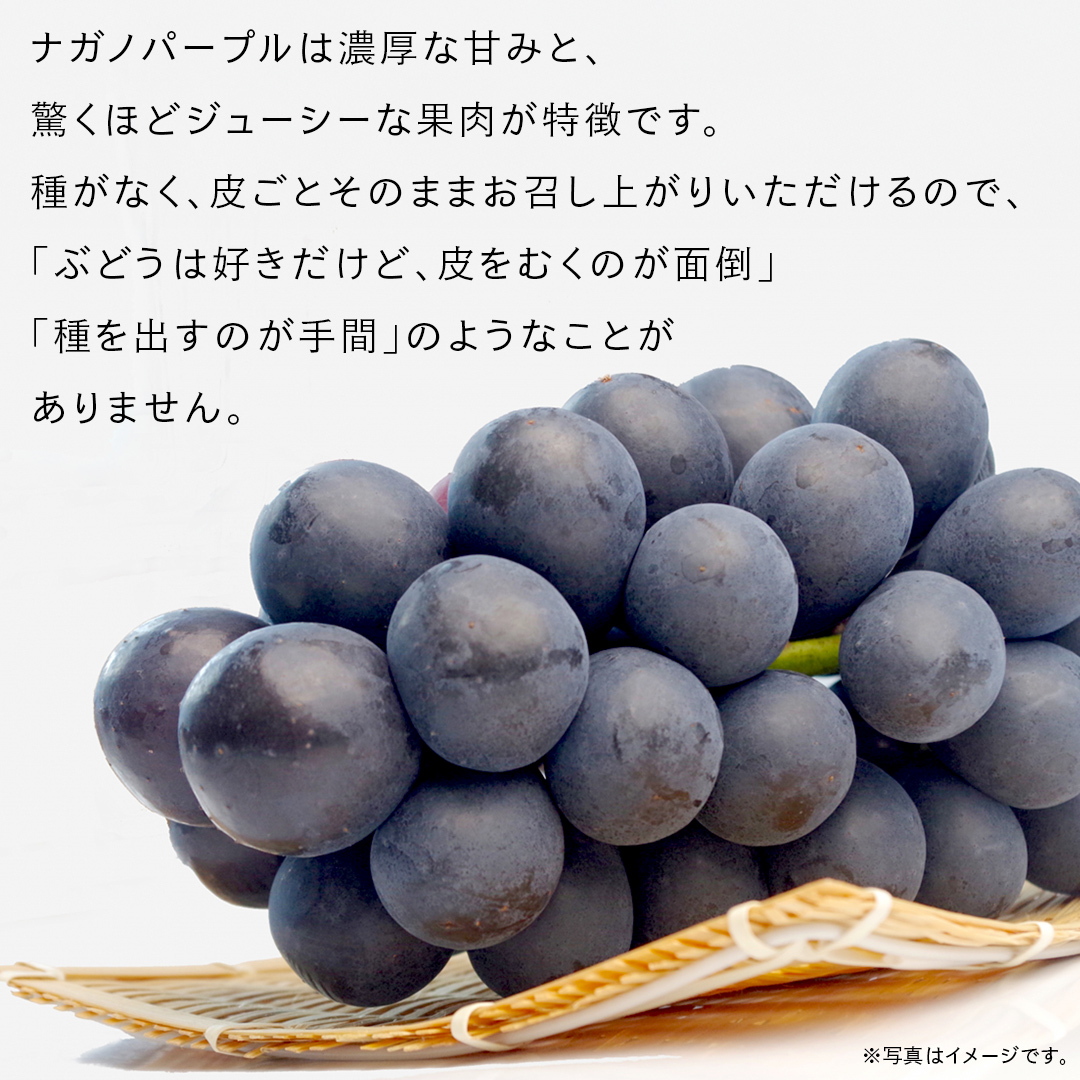 ナガノパープル 5kg （8～12房）【2026年9月より発送開始】（茨城県共通返礼品 [ぶどう]：結城市産） 葡萄 黒ぶどう 旬 お取り寄せ フルーツ 希少品種 デザート [FC04-NT]