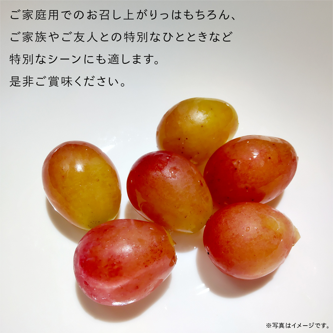 クインニーナ 5kg （8～12房）【2026年9月より発送開始】（茨城県共通返礼品 [ぶどう]：結城市産） 葡萄 赤ぶどう 旬 お取り寄せ フルーツ 甘い 希少品種 デザート [FC02-NT]