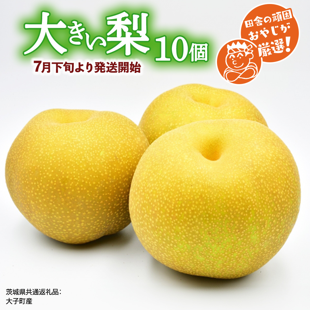 大きい 梨 10個【2026年7月下旬より発送開始】（茨城県共通返礼品 [梨]：大子町産）田舎の頑固おやじが厳選！ [BI134-NT]