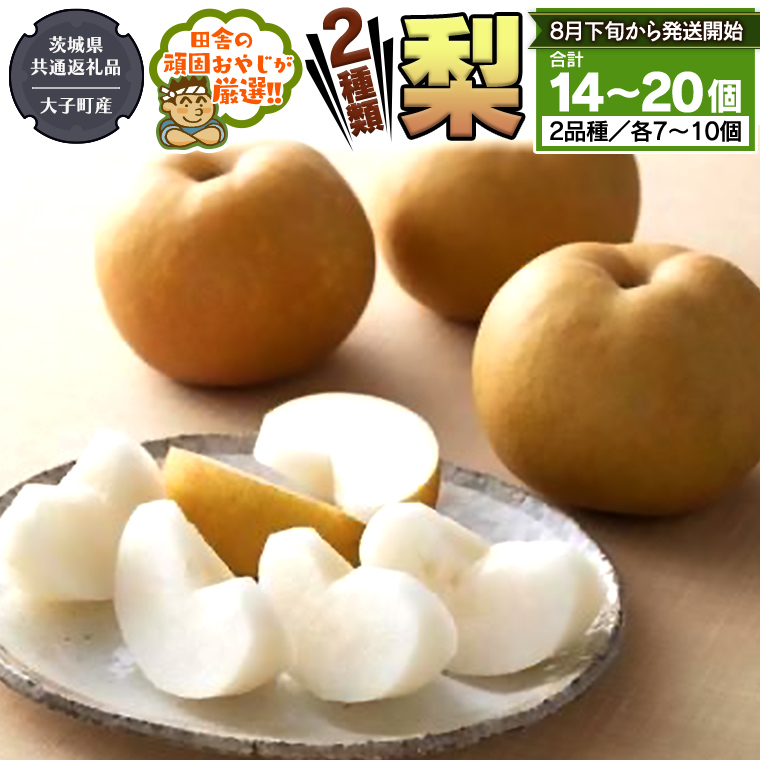 梨 2種 セット 【2026年8月下旬より発送開始】 （茨城県共通返礼品 [梨]：大子町産） 田舎の頑固おやじが厳選！