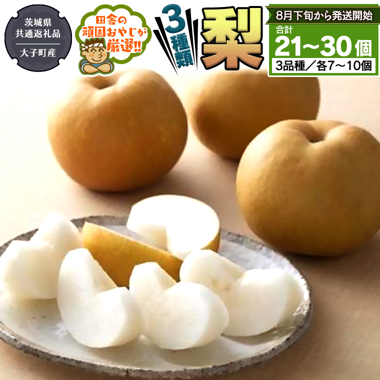 梨 3種 セット 【2026年8月下旬より発送開始】 （茨城県共通返礼品 [梨]：大子町産） 田舎の頑固おやじが厳選！ なし 果物 フルーツ 美味しい [BI334-NT]