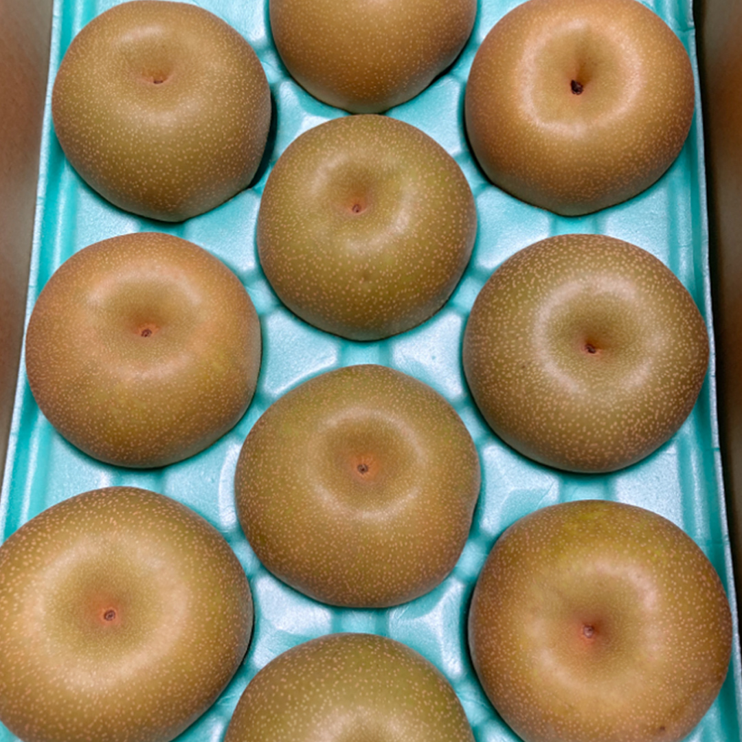にっこり梨 5kg（8〜14個）【2026年10月より発送開始】（茨城県共通返礼品 [梨]：大子町産）田舎の頑固おやじが厳選！ 梨 なし ナシ 果物 フルーツ 茨城県産 [BI430-NT]