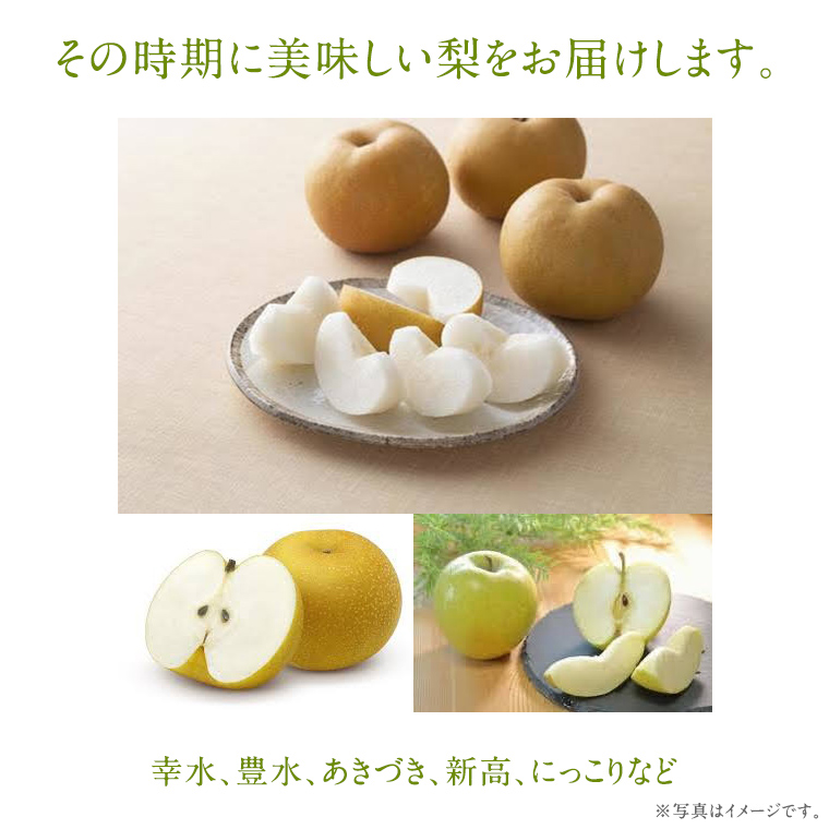 梨 2品種 各7個ずつ【2026年8月より発送開始】（茨城県共通返礼品 [梨]：大子町産）田舎の頑固おやじが厳選！  なし ナシ 果物 フルーツ 茨城県産 [BI453-NT]