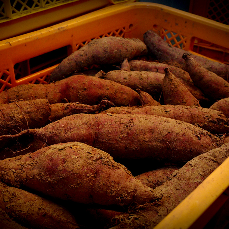 【 訳あり 】 干し芋 紅はるか ( シロタ ) ( 800g真空パック ) 【簡易包装・ご自宅用】  干し芋 乾燥芋 いも 食物繊維ほし芋 ほしいも 和菓子 和スイーツ 常温 常温保存 茨城県産 マタニティフード ダイエット [BK39-NT]