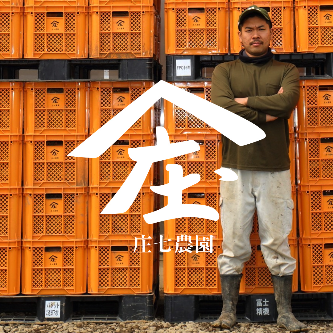 【 訳あり 】 干し芋 紅はるか ( シロタ ) ( 800g真空パック ) 【簡易包装・ご自宅用】  干し芋 乾燥芋 いも 食物繊維ほし芋 ほしいも 和菓子 和スイーツ 常温 常温保存 茨城県産 マタニティフード ダイエット [BK39-NT]