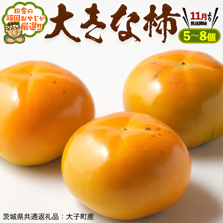 大きな 柿 5～8個【11月より発送開始】田舎の頑固おやじが厳選！ （茨城県共通返礼品 [柿]：大子町産）[BI153-NT]