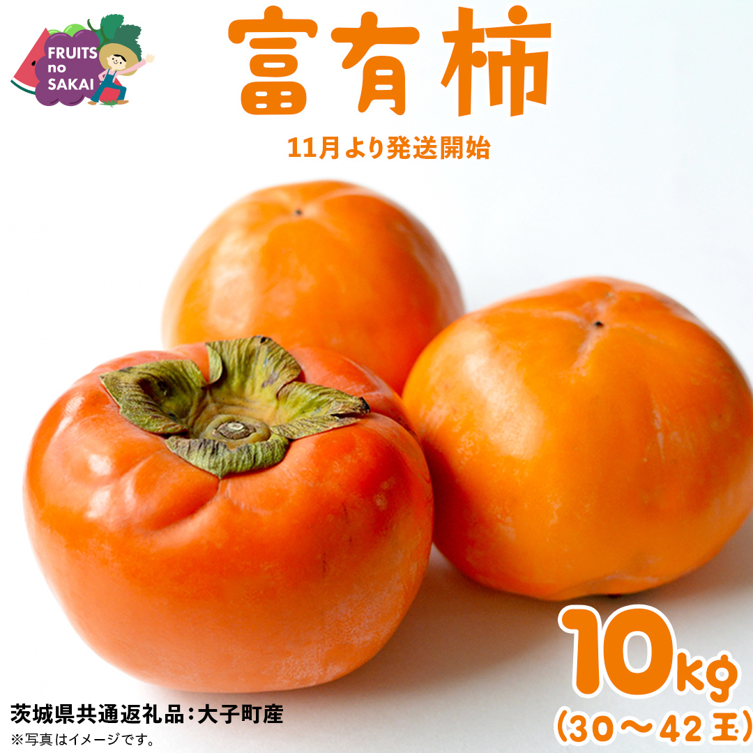 富有柿 10kg （約30～42個）【2025年11月より発送開始】（茨城県共通返礼品 [柿]：大子町産） かき 旬 お取り寄せ フルーツ 甘い 秋の味覚 [FC11-NT]