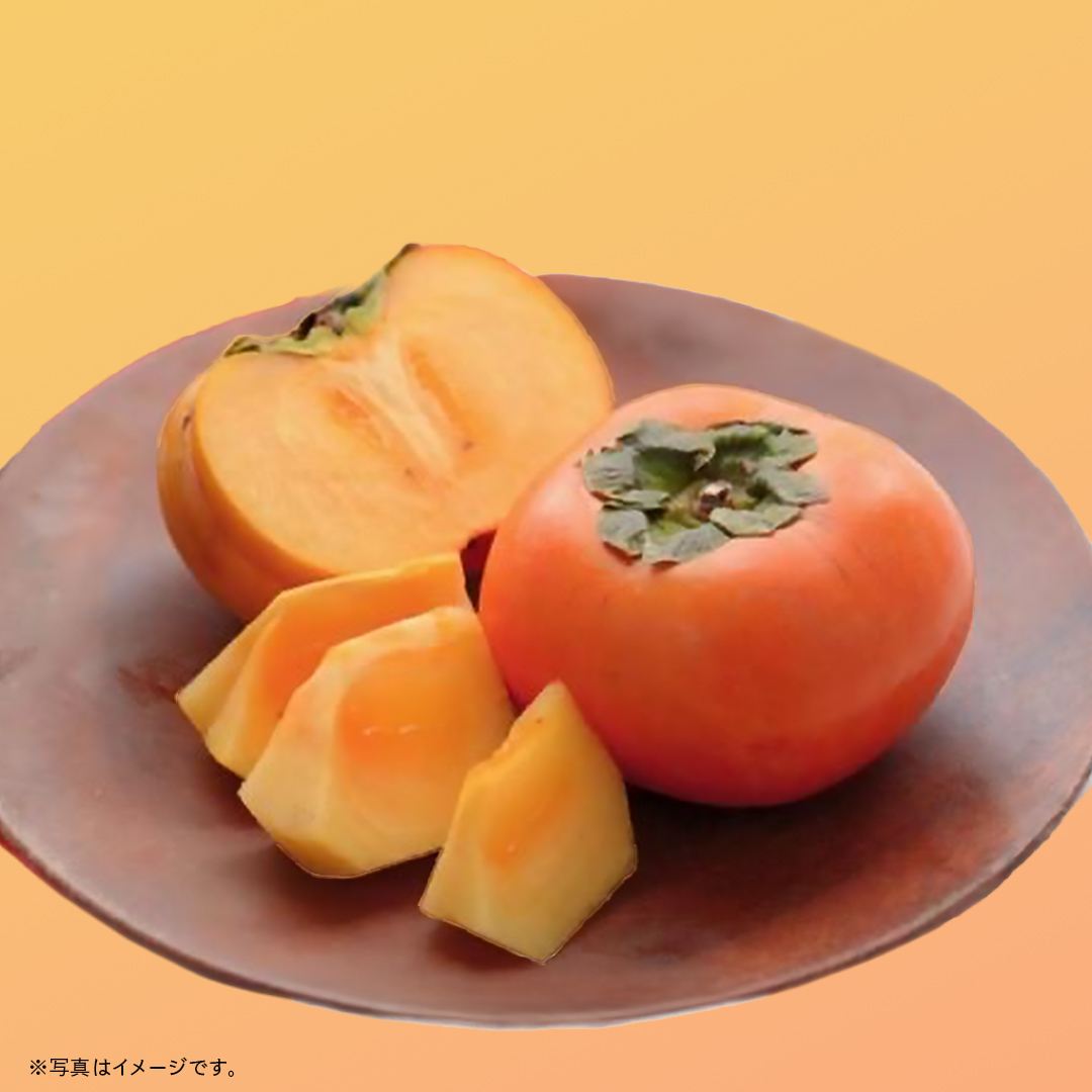 富有柿 10kg （約30～42個）【2025年11月より発送開始】（茨城県共通返礼品 [柿]：大子町産） かき 旬 お取り寄せ フルーツ 甘い 秋の味覚 [FC11-NT]