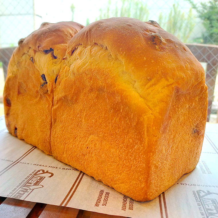 レーズン 食パン 1本（2斤分） パン 朝ごはん 朝食 おやつ 卵不使用 ブレッド 大容量 サンドイッチ ［BR07-NT］