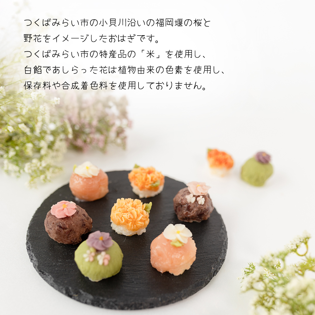 花あんおはぎ 9個入 おはぎ 和菓子 あんこ 小豆 白あん お菓子 花 プレゼント ギフト 贈り物 手土産 かわいい 手作り 創作 保存料不使用 合成着色料不使用 [FD03-NT]