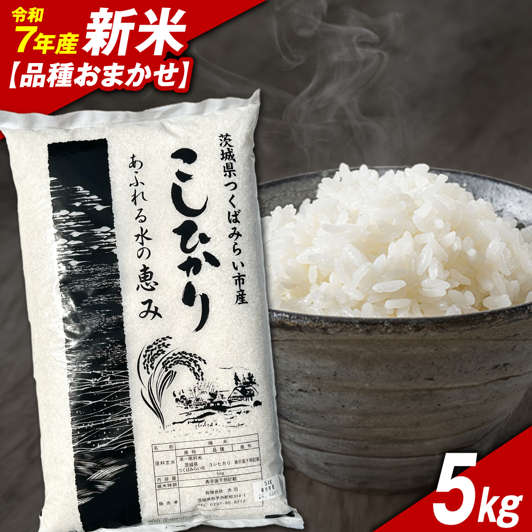 ＼ 令和7年産新米 ／【11月下期出荷】品種おまかせ 5kg 茨城県つくばみらい市産 精米 こしひかり コシヒカリ あきたこまち ひとめぼれ ふくまる ゆめひたち ミルキークイーン にじのきらめき 米 コメ こめ 単一米 限定 茨城県産 国産 美味しい お米 おこめ おコメ