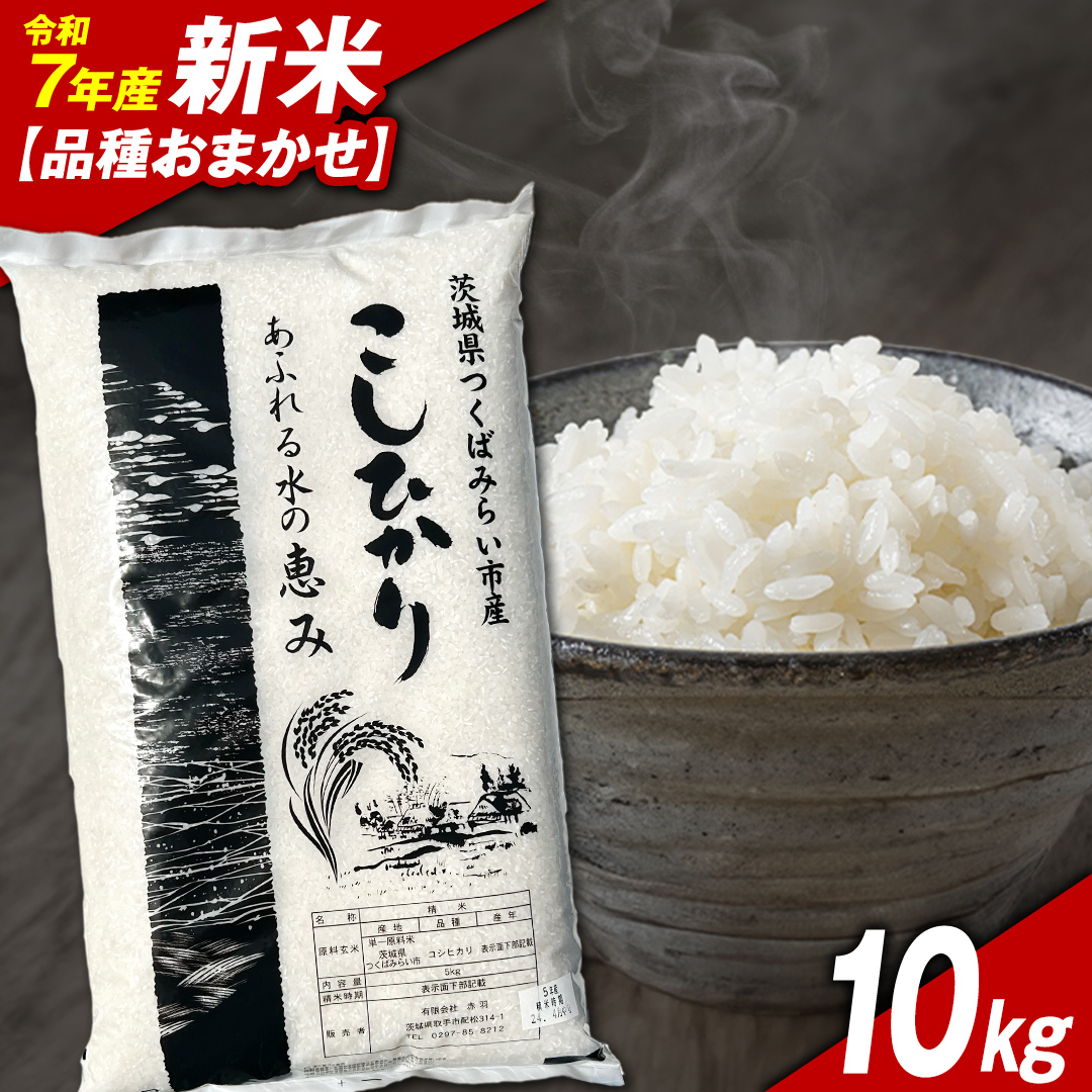 ＼ 令和7年産新米 ／【11月下期出荷】品種おまかせ 10kg 茨城県つくばみらい市産 精米 こしひかり コシヒカリ あきたこまち ひとめぼれ ふくまる ゆめひたち ミルキークイーン にじのきらめき 米 コメ こめ 単一米 限定 茨城県産 国産 美味しい お米 おこめ おコメ