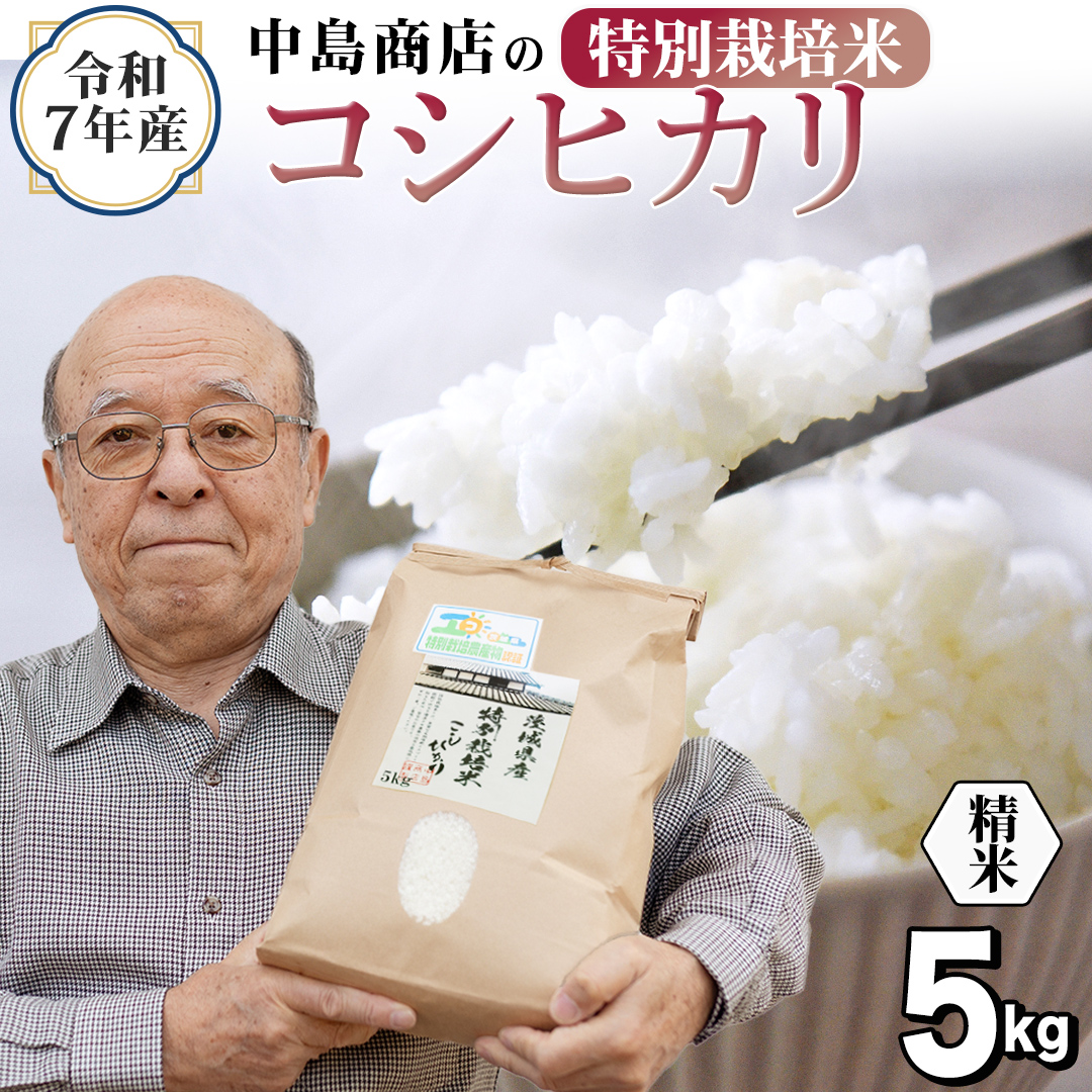 ＜ 新米 ＞ 令和7年産 茨城県産 精米 特別栽培米 コシヒカリ 5kg （5kg×1袋） 白米 こしひかり 米 コメ こめ 単一米 限定 茨城県産 国産 美味しい お米 おこめ おコメ[EH32-NT]