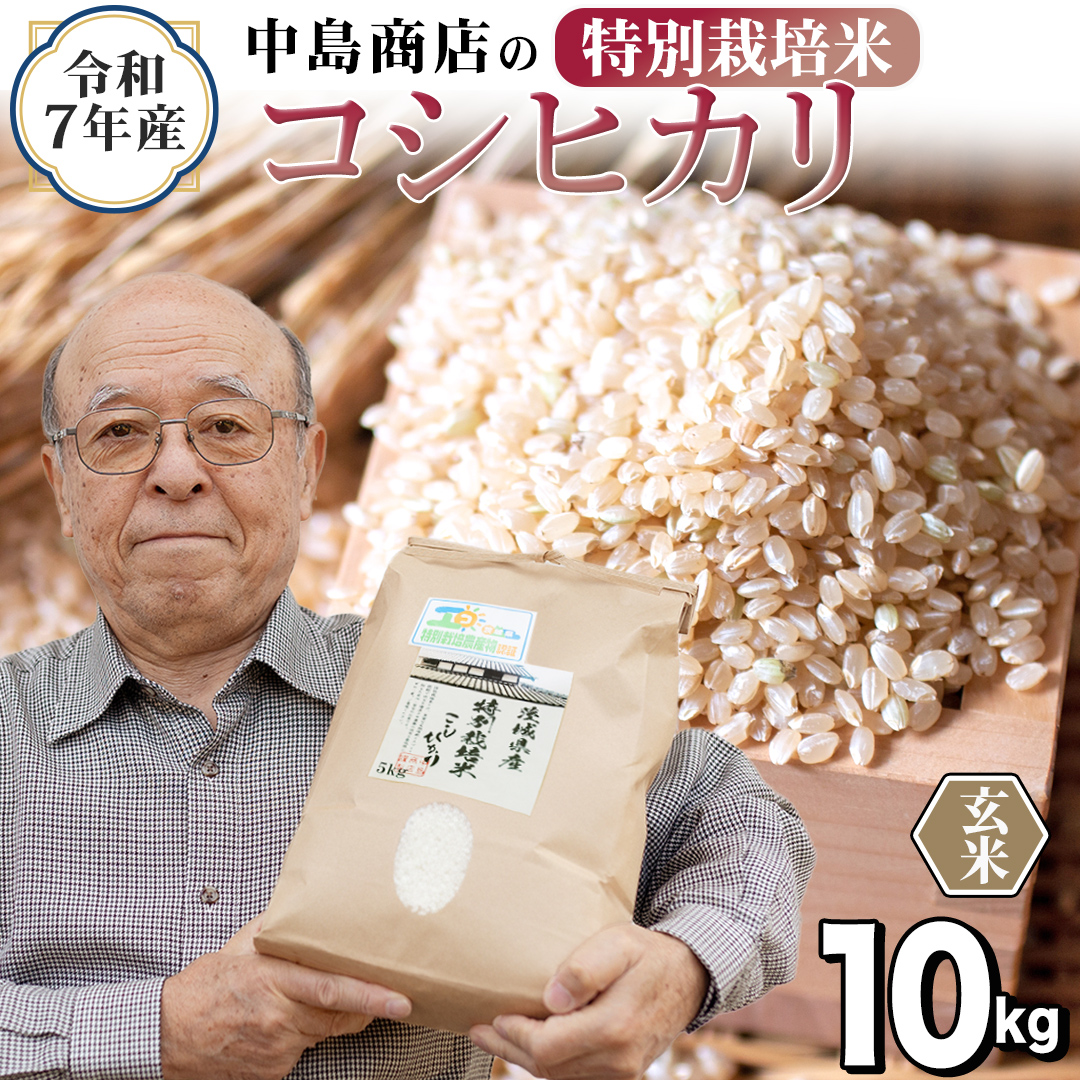 令和7年産 茨城県産 玄米 特別栽培米 コシヒカリ 10kg （5kg×2袋） こしひかり 米 コメ こめ 単一米 限定 茨城県産 国産 美味しい お米 おこめ おコメ[EH36-NT]