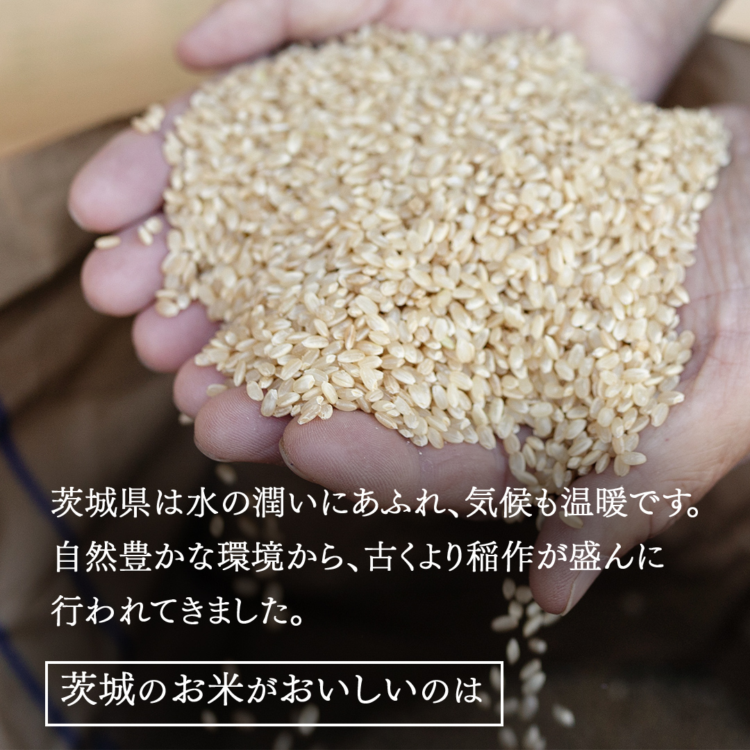令和7年産 茨城県産 玄米 特別栽培米 コシヒカリ 10kg （5kg×2袋） こしひかり 米 コメ こめ 単一米 限定 茨城県産 国産 美味しい お米 おこめ おコメ[EH36-NT]