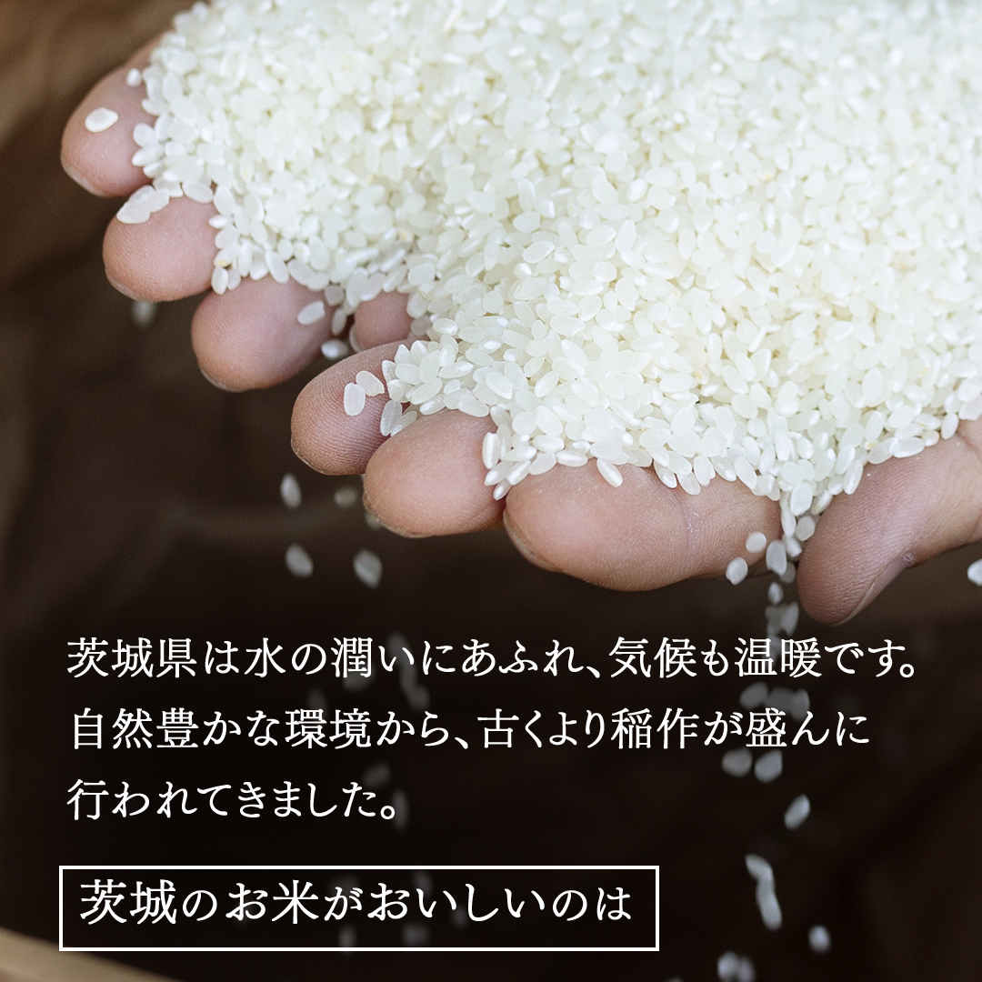 令和7年産 茨城県産 精米 ミルキークイーン 5kg （5kg×1袋） 白米 米 コメ こめ 単一米 限定 茨城県産 国産 美味しい お米 おこめ おコメ[EH38-NT]