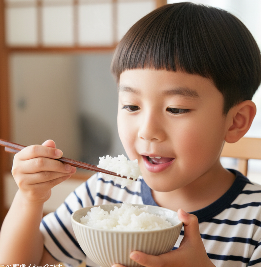 令和7年産 茨城県産 精米 ミルキークイーン 5kg （5kg×1袋） 白米 米 コメ こめ 単一米 限定 茨城県産 国産 美味しい お米 おこめ おコメ[EH38-NT]