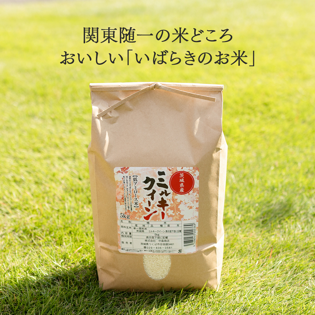 令和7年産 茨城県産 玄米 ミルキークイーン 5kg （5kg×1袋） 米 コメ こめ 単一米 限定 茨城県産 国産 美味しい お米 おこめ おコメ[EH41-NT]