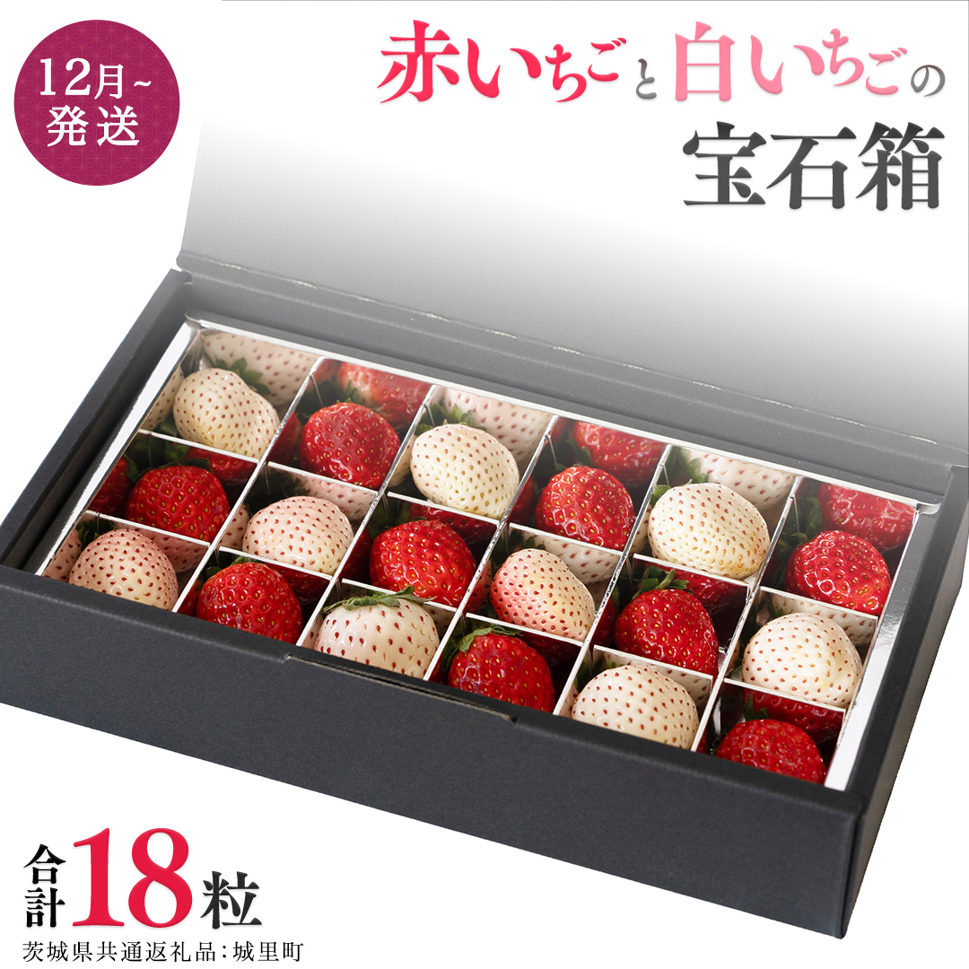 赤いちごと白いちごの宝石箱 18粒 【12月から発送開始】（茨城県共通返礼品 [いちご]：城里町産）田舎の頑固おやじが厳選！  果物 フルーツ いちご イチゴ 苺 白苺 贈答 ギフト [BI335-NT]