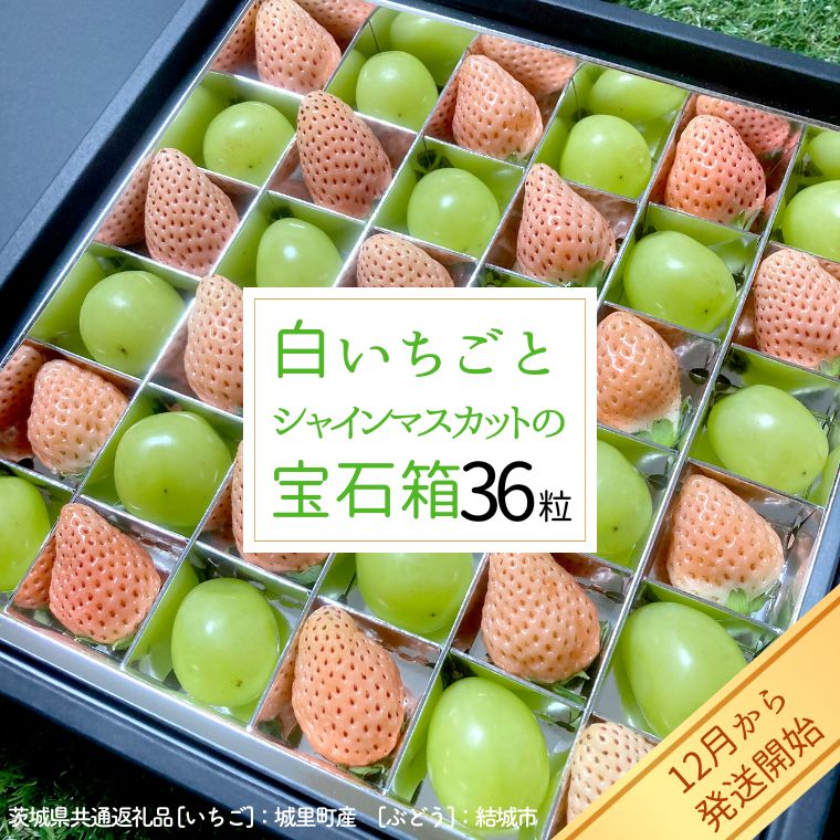 【2026年12月より発送開始】白いちご と シャインマスカット の 宝石箱 36粒 （茨城県共通返礼品 [いちご]：城里町産　[ぶどう]：結城市産）  果物 フルーツ いちご イチゴ 白苺 ぶどう マスカット ギフト プレゼント [BI343-NT]