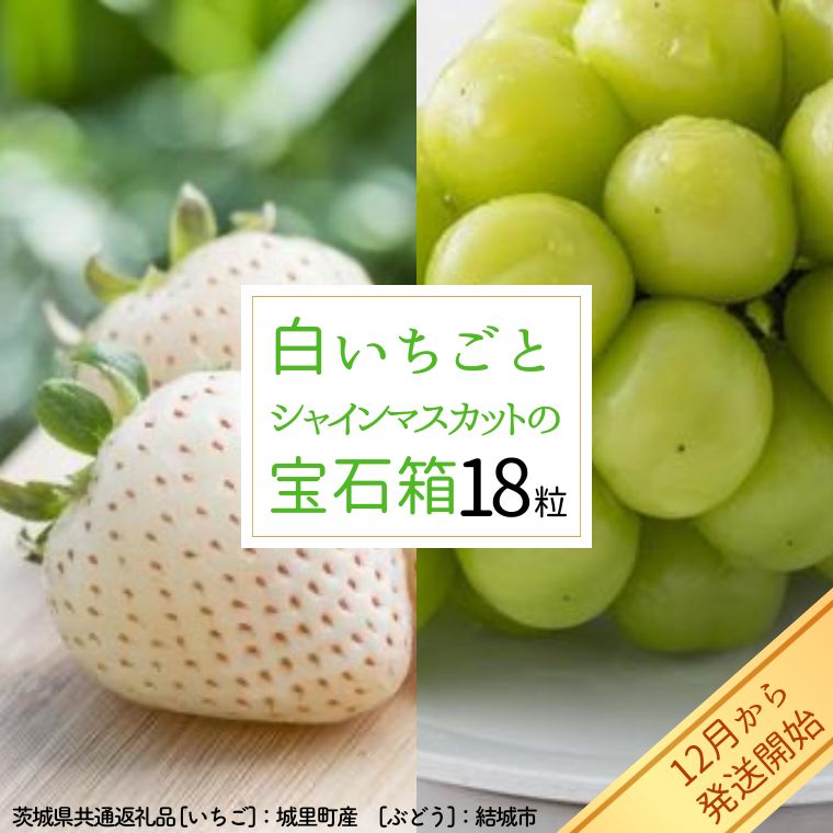 白いちご と シャインマスカット の 宝石箱 18粒 【12月から発送開始】（茨城県共通返礼品 [いちご]：城里町産　[ぶどう]：結城市） 果物 フルーツ いちご イチゴ 白苺 ぶどう マスカット ギフト プレゼント [BI344-NT]