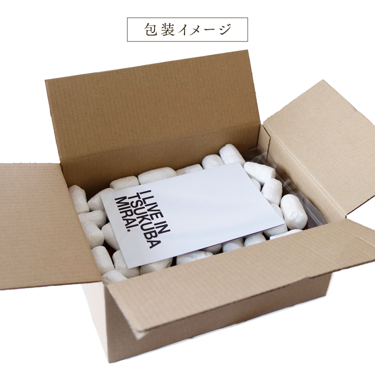 【訳あり】いちご 1kg 【1月から発送開始】（茨城県共通返礼品 [いちご]：城里町産） いちご 苺 イチゴ 訳あり [BI368-NT]